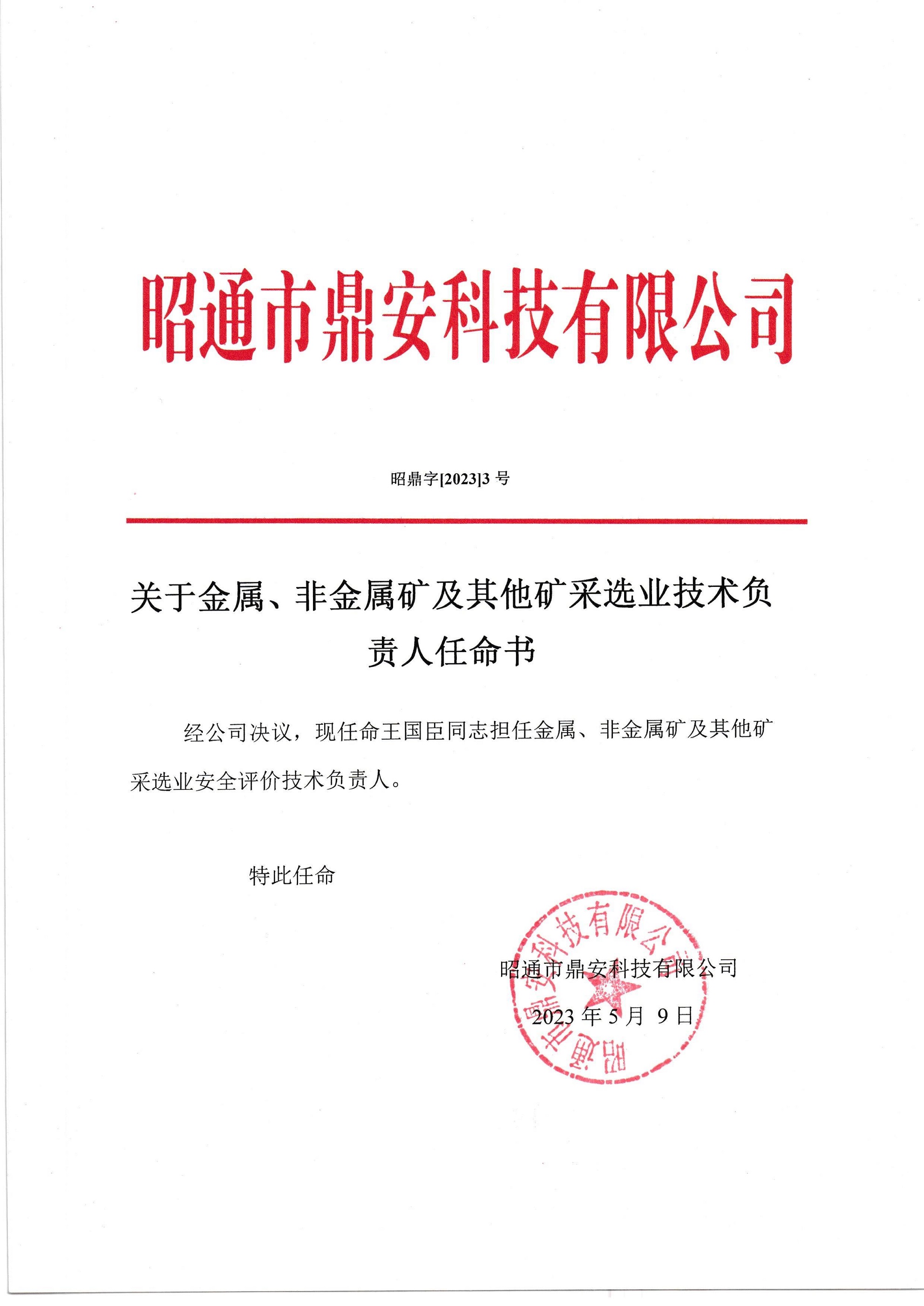 關(guān)于金屬、非金屬礦及其他礦采選業(yè)技術(shù)負(fù)責(zé)人任命書(shū)-王國(guó)臣_2.jpg